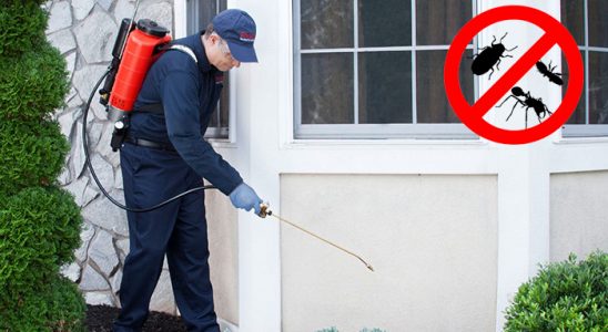 Susurluk Dezenfeksiyon böcek ilaçlama ve haşere kontrolü — ilaclama-tr.com